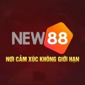 New882 Vip – Đẳng Cấp Dẫn Đầu Thị Trường Đăng Ký +58K