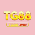 04tg88 com – Đăng Nhập Tg88 Mỗi Ngày Nhận Ngay Lì Xì Khủng