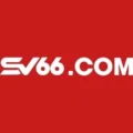 Svq5 com – Đăng Ký Tặng Free 88k Trải Nghiệm Không Cần Nạp